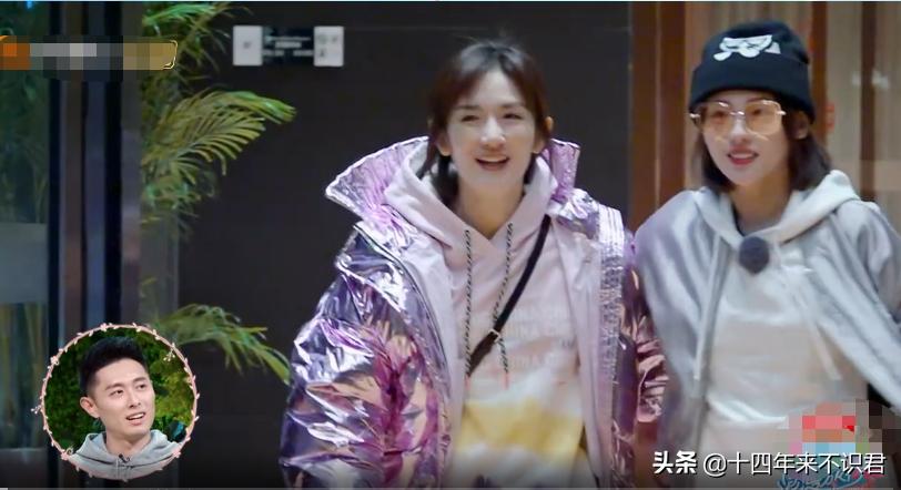 张嘉倪和妻子团,张嘉倪感情