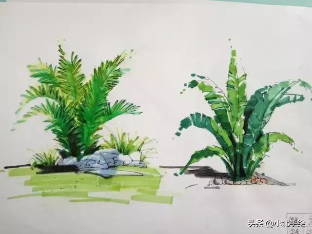 马克笔怎么用是最好的,马克笔怎么用教程