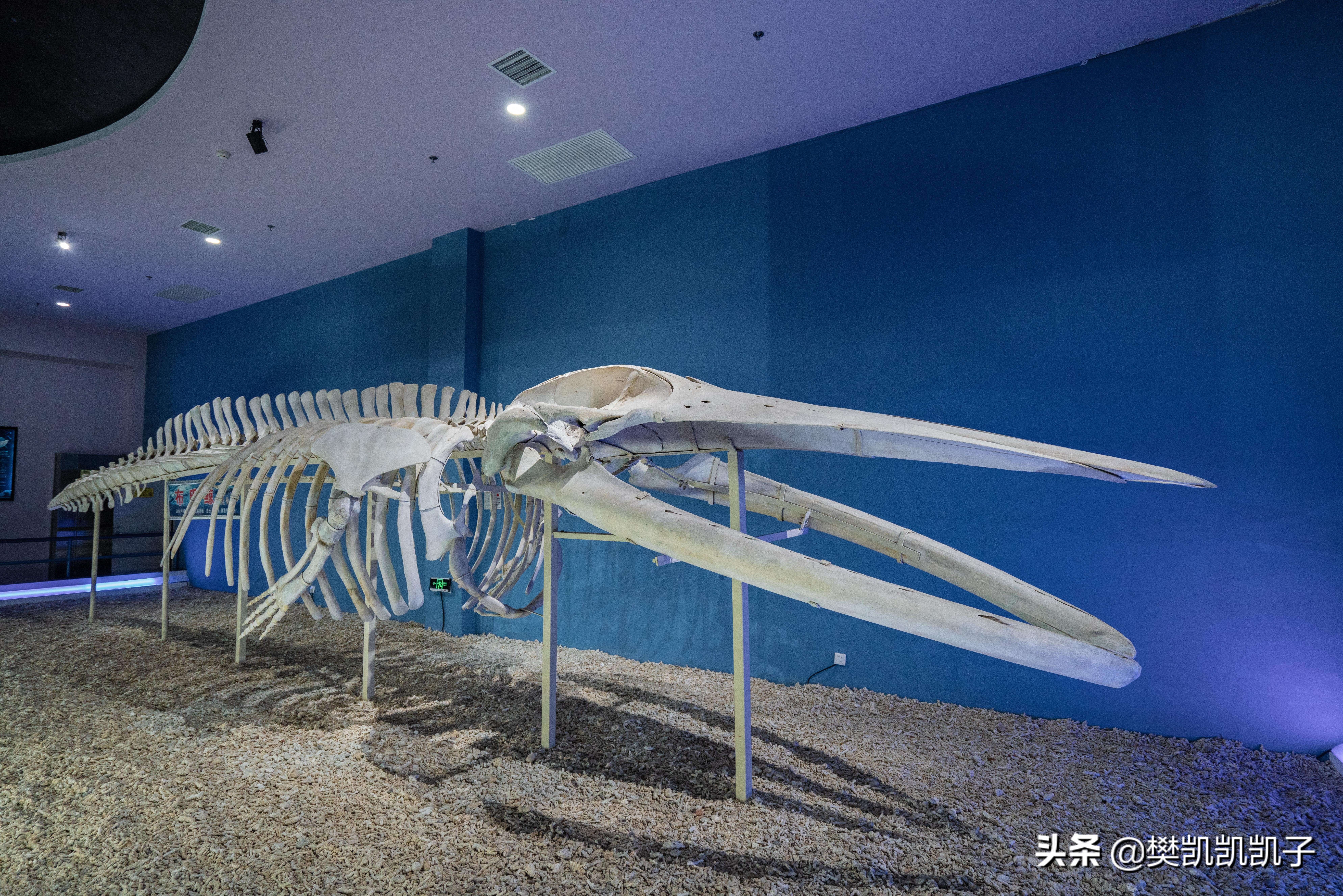 去福州看海的攻略,福州看海攻略推荐