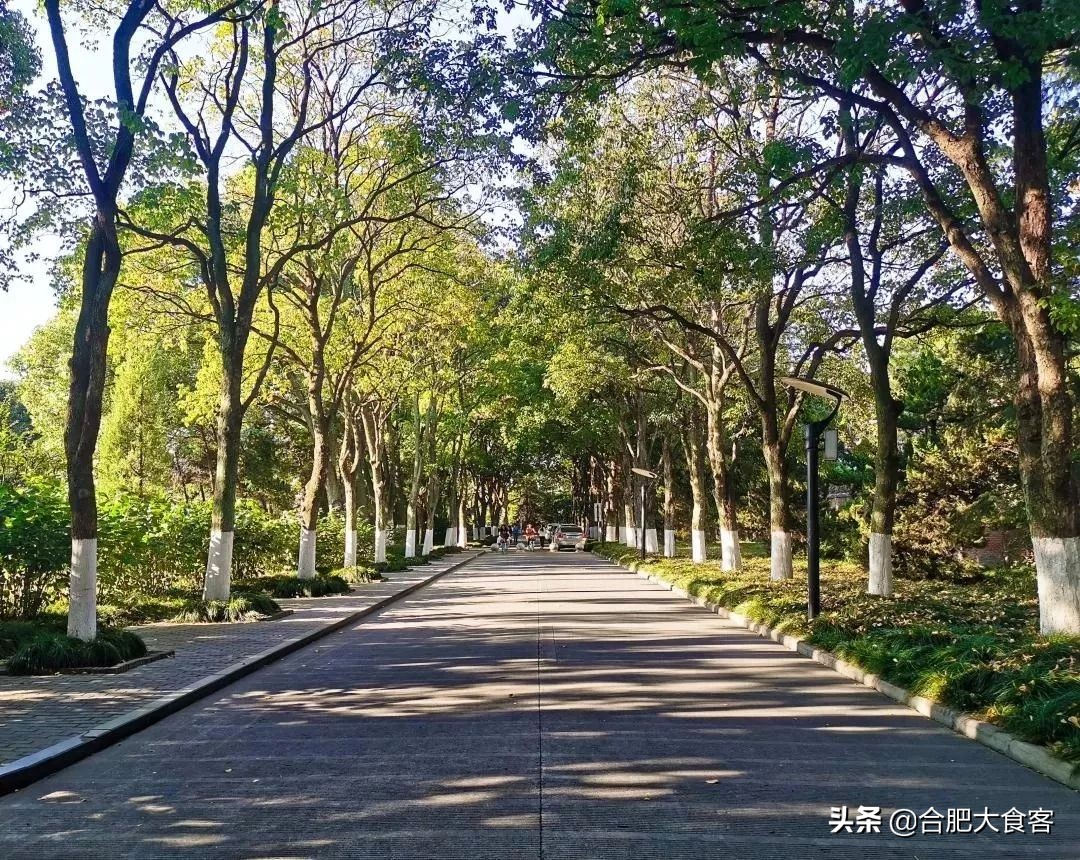 别问了！安大北门真没啥好吃的