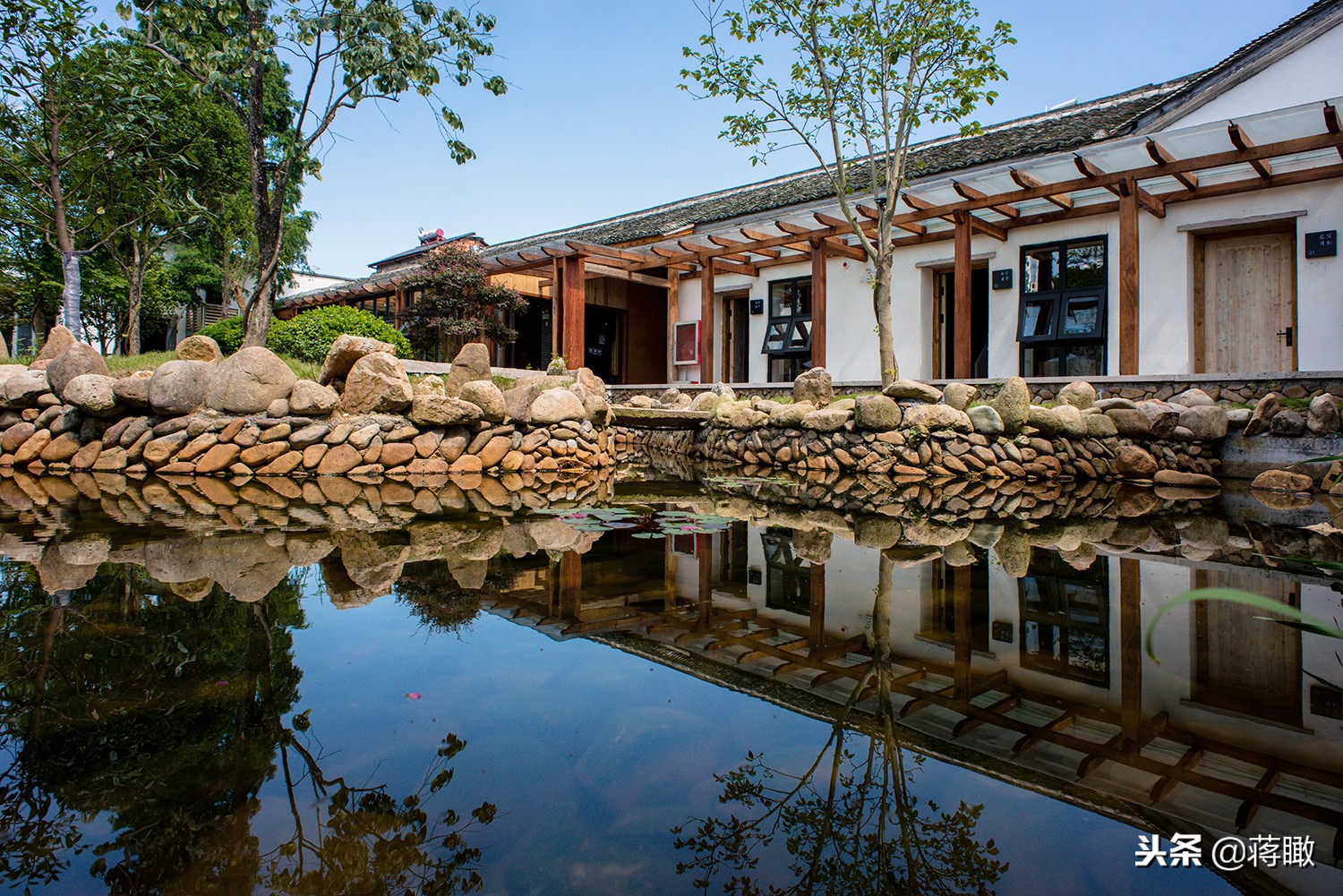 松阳,会是下一个理想国么?