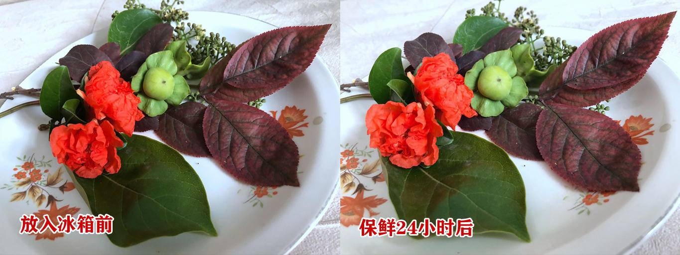 新飞双开门冰箱评测,新飞冰箱新品评测