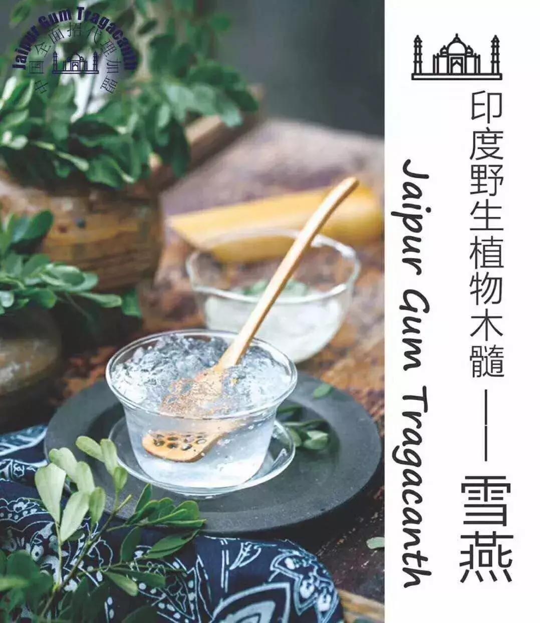 环球旅行我学会了什么,环球旅行一年