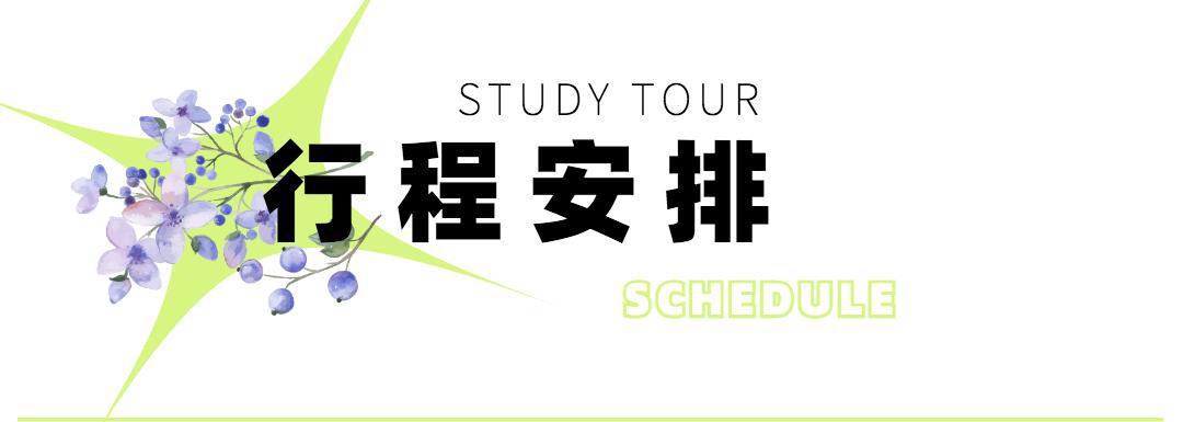 奇妙夏日，跟着*物文**去旅行~