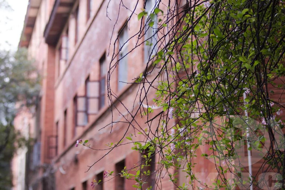 不一样的昆明理工大学，究竟有多牛