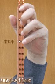 二胡b调把位图教学讲解,二胡排调从低到高