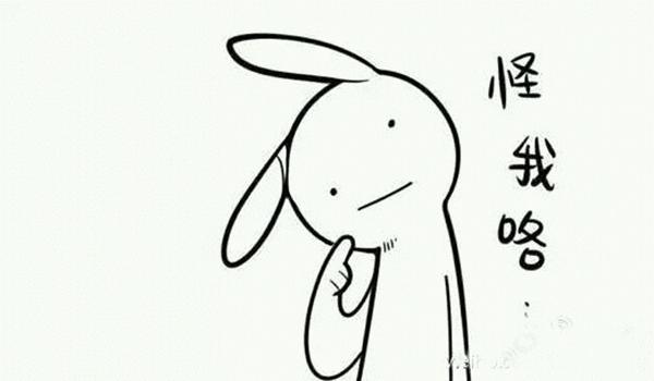 适合*轮法**功的这些流行语