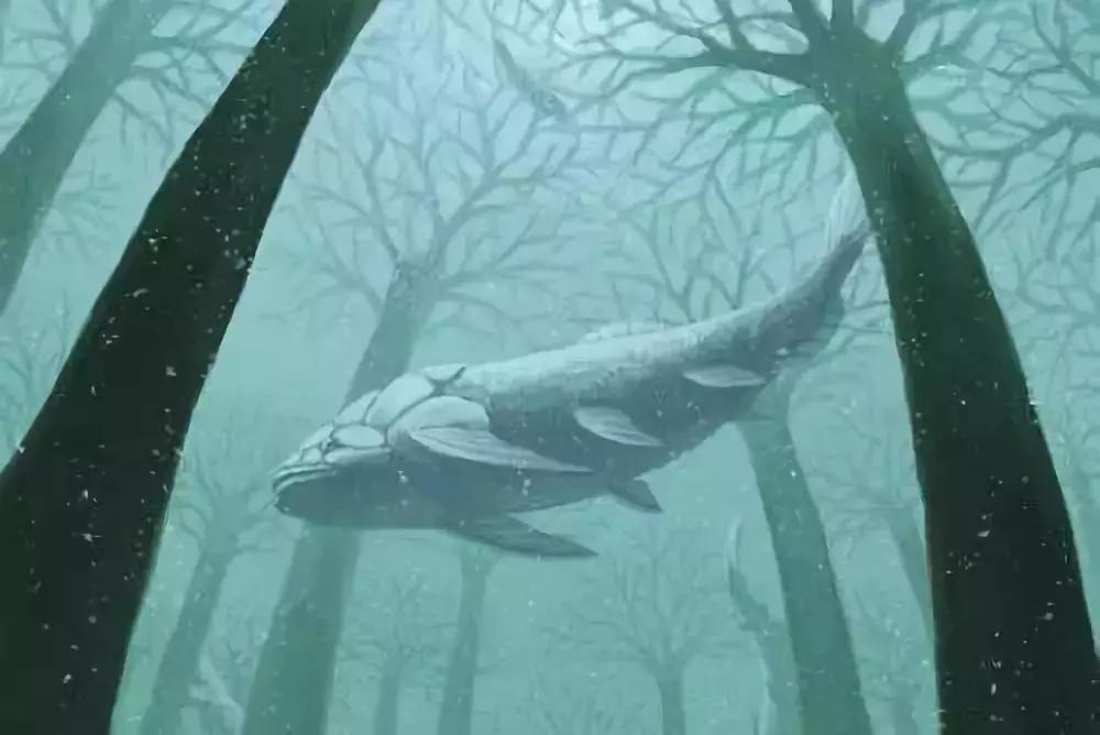 一个道长提醒我：倒霉时多到这四个地方走走，会转运