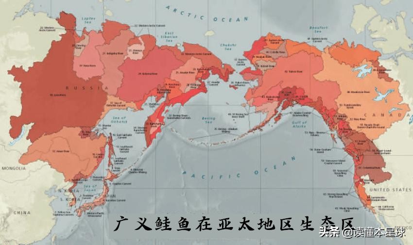 被人类吃到濒临灭绝的生物,被人类吃灭绝的凶猛的鱼