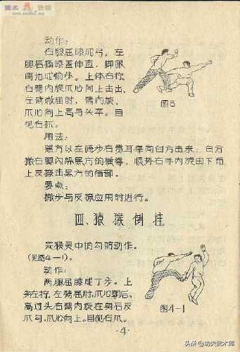 失传已久的古少林迷踪拳秘籍,少林十三抓拳谱