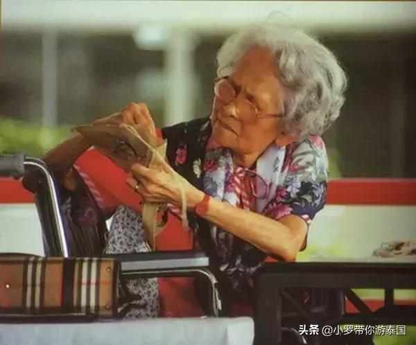 泰国九世皇自传,九世王十字绣泰国