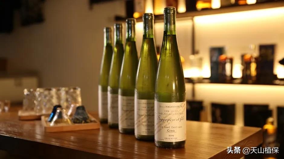 新疆葡萄酒在全国产区排名,阿塞拜疆葡萄酒现状