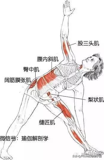 创造营里论腿更服苏有朋，明星私教揭秘：竟因他做了这个瘦腿动作