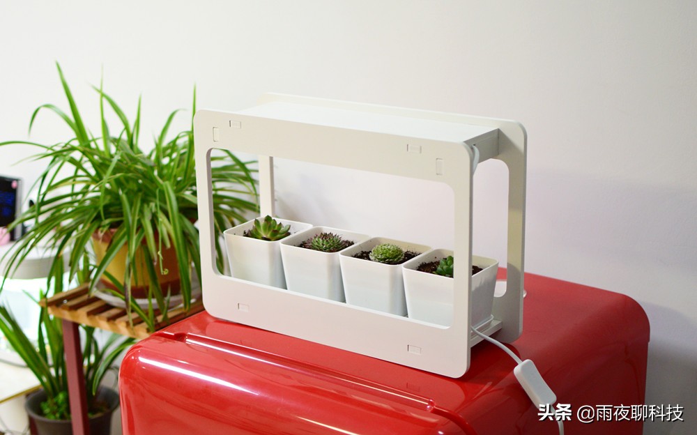 LED种植机体验:黑科技光谱养花,家里的多肉有救了