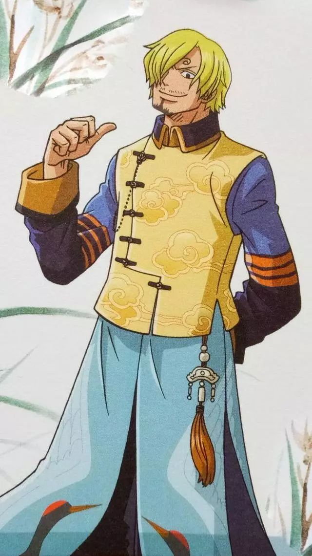 海贼王娜美戴草帽的图,海贼王草帽海贼团成员统一服装