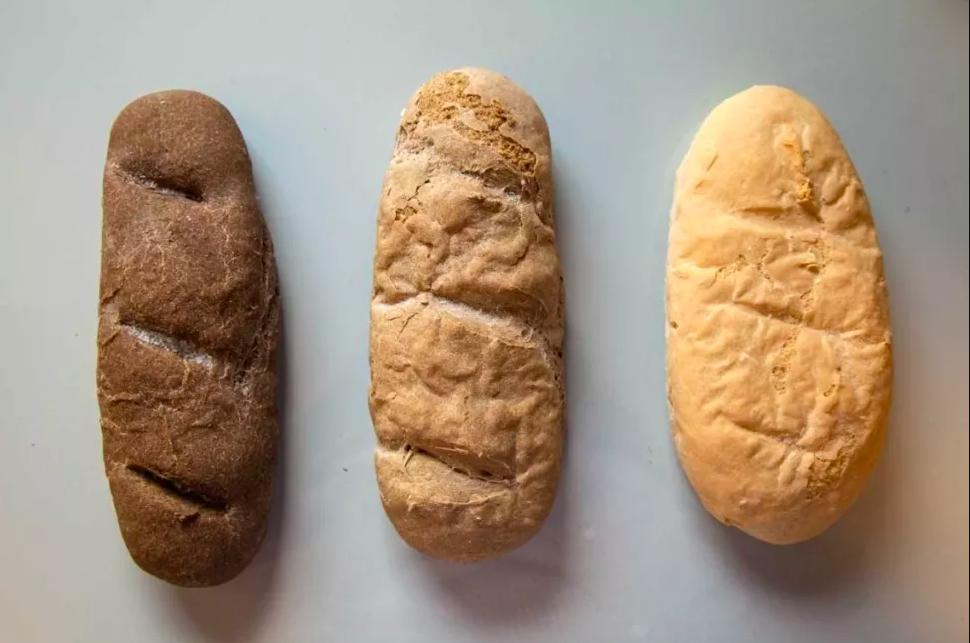 蟋蟀粉做面包,面包是不是用蟋蟀做的