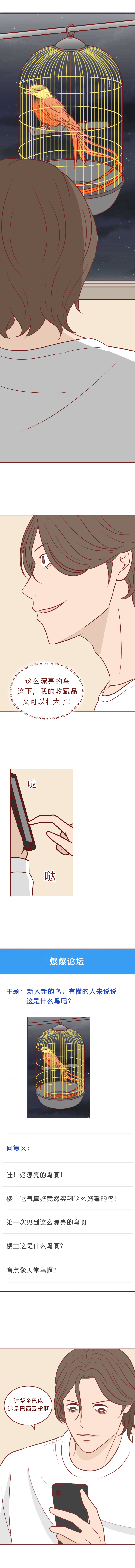 动物竟然把人当宠物一样囚禁和喂养,一部黑暗讽刺漫画