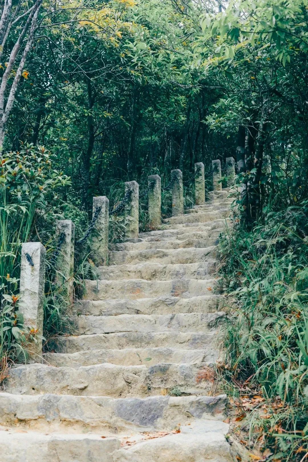 深圳值得去的地标,深圳值得去的景点排行榜