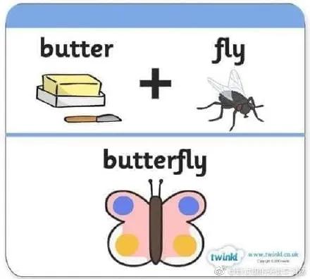 cat是什么词,cat是猫的意思吗