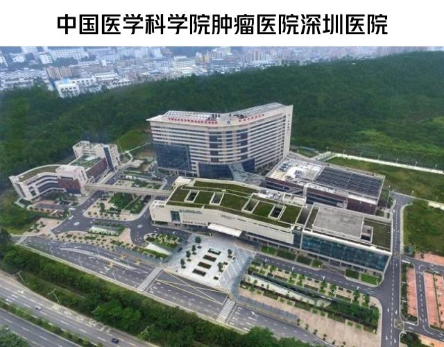 肿瘤国家队南下深圳，“2年走了别人10年的路”