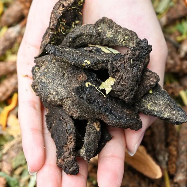 纯手工制作美食甜品,网红甜品推荐前十名制作方法