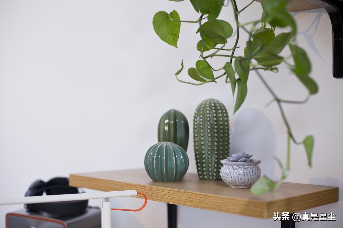 有钱买房子没钱装修的视频,没钱装一个房间的效果图