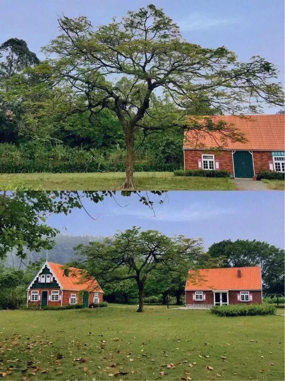 广州复古适合拍照的地方,广州这10个免费的拍照圣地