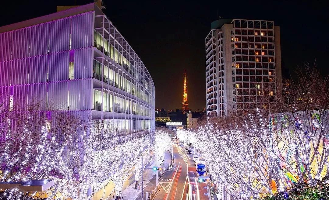 东京自由行最佳攻略详细,东京5日自由行攻略