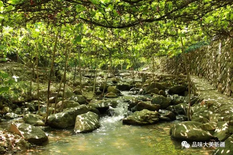 热情好客的新疆吐鲁番,众所周知吐鲁番是最热的地方