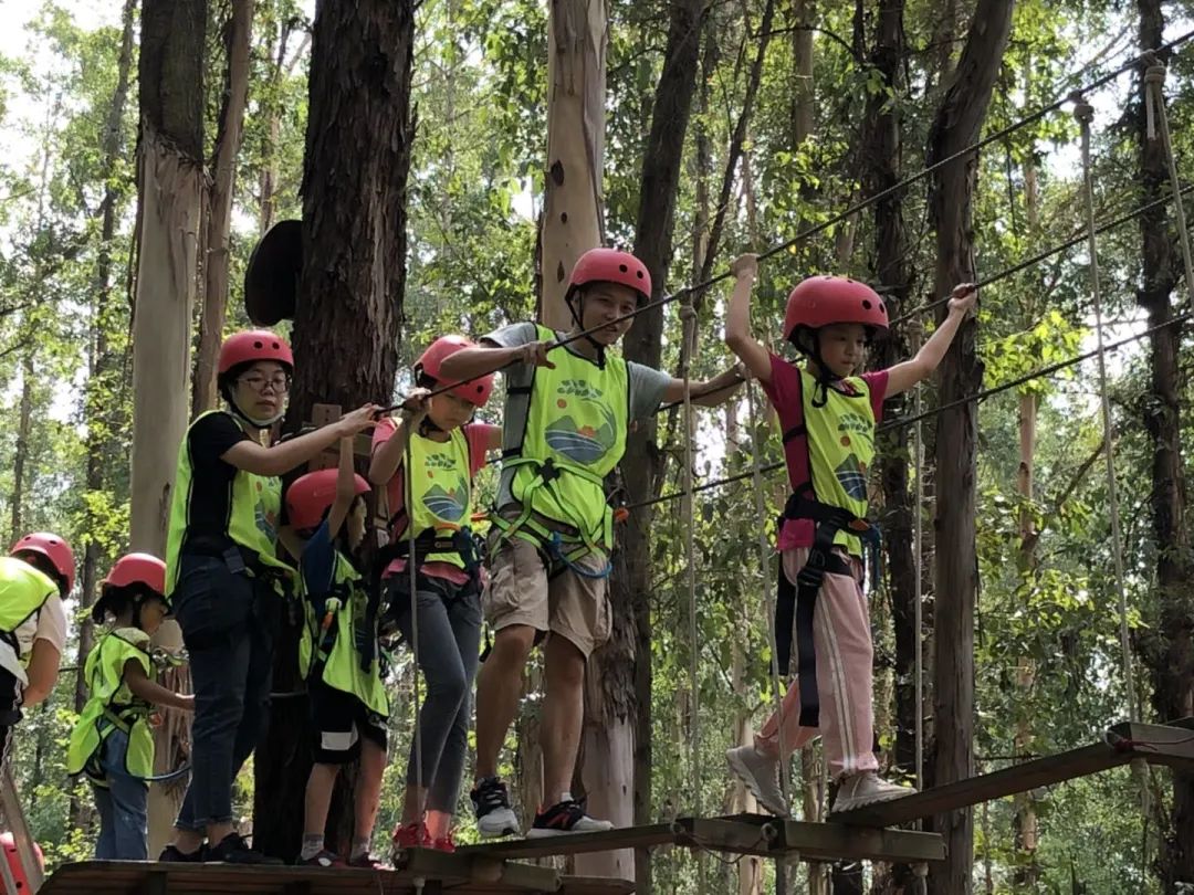 番禺周末亲子户外活动,广州儿童亲子户外活动