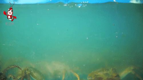 魔都夜市美食街,魔都夜宵外摆翘楚