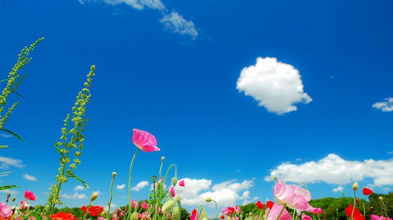 文雅如玉的男孩名字,不染世俗男孩名字大全