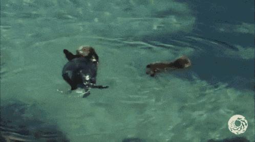 被误会了2500年的秦始皇,被误会了30年