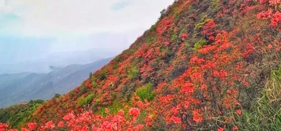 视觉震撼从高处看地球,超震撼从60万米高空看河北