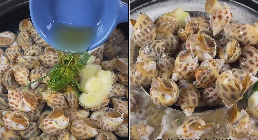 辣炒花螺肉的做法大全家常,辣炒花螺的最正宗做法