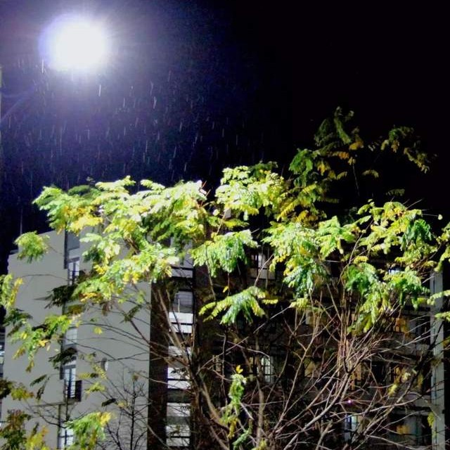 辽宁省高校(三十二)大连外国语大学