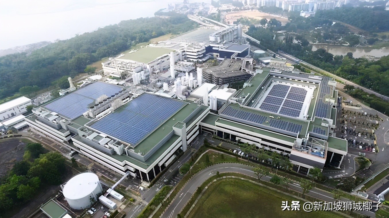 新加坡年轻人的真实现状,新加坡民众的现状