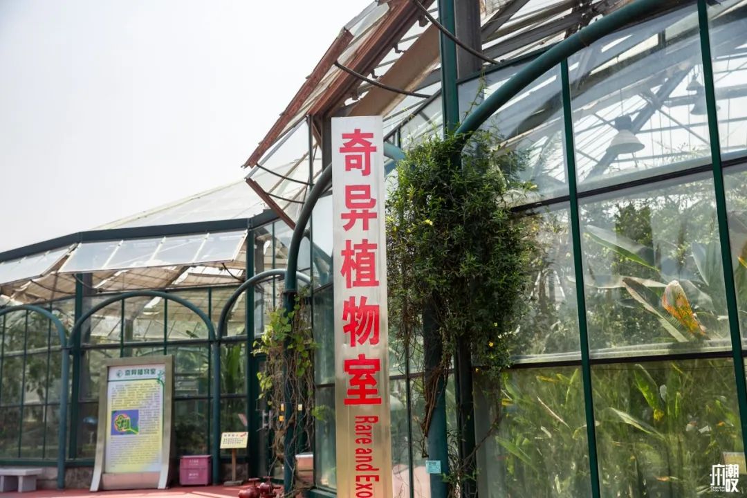 300+万㎡原始森林秘境，天河就有