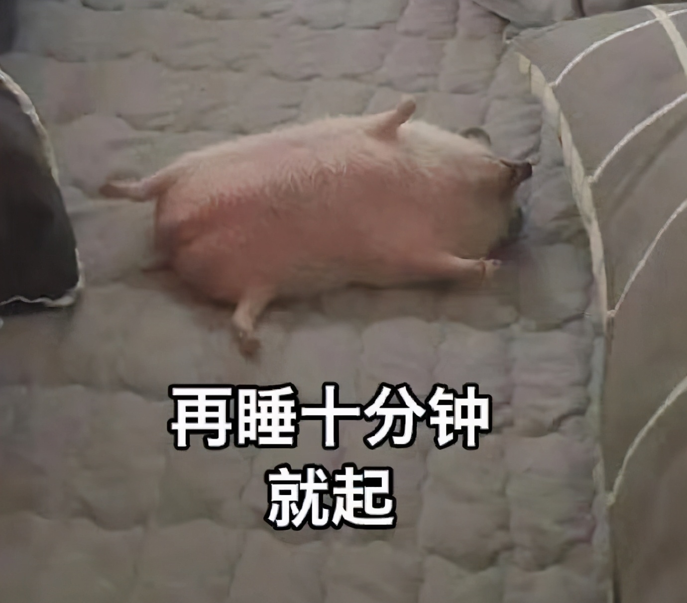 嘻咦嗷笑就完了NO.3