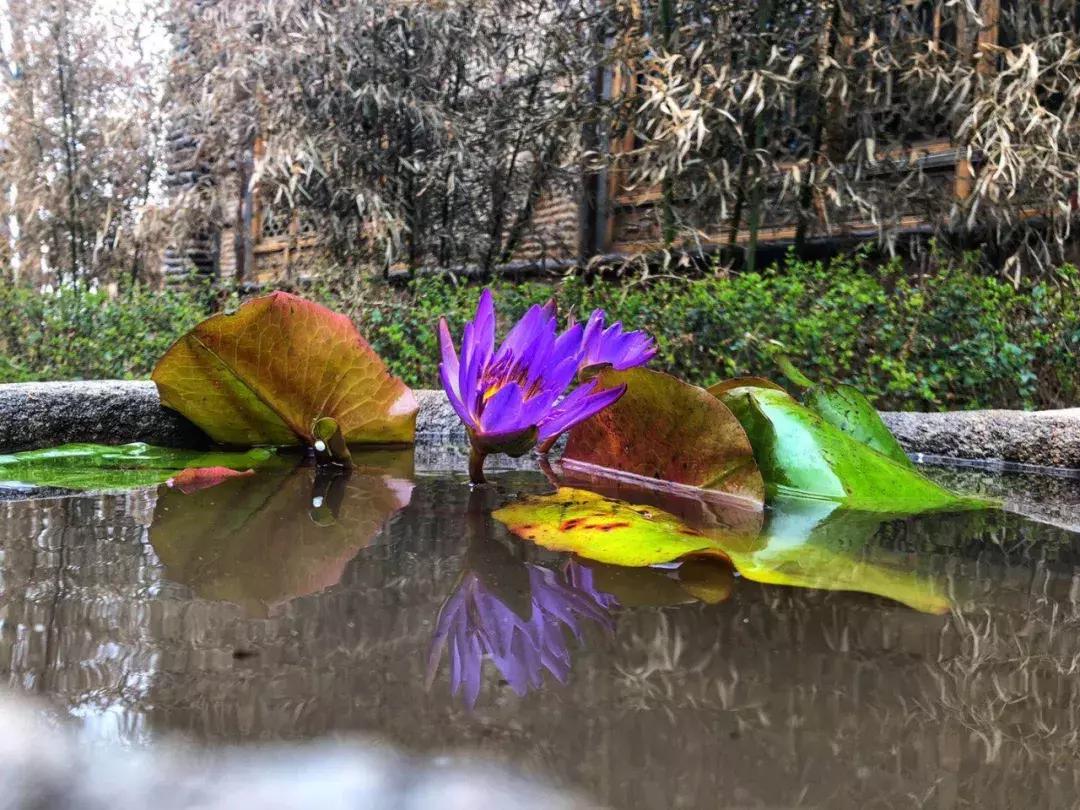 宝鸡市凤翔区灵山景区,宝鸡灵山和凤翔灵山是一个吗