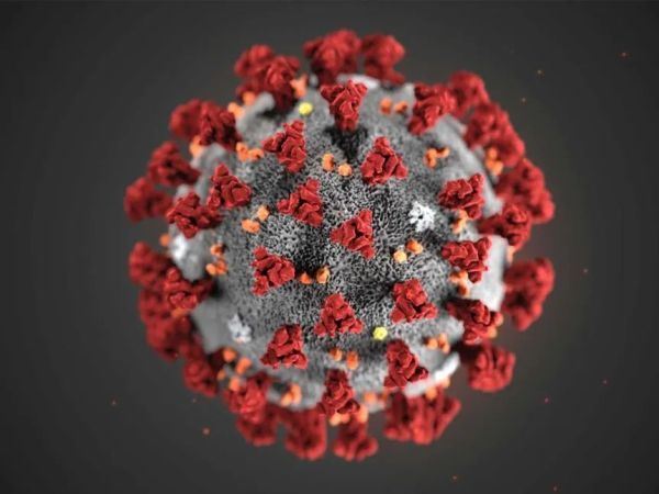 怒砸1千万修改“澳洲制造”标识！澳政府被网友骂惨了！因为新标志竟然像…