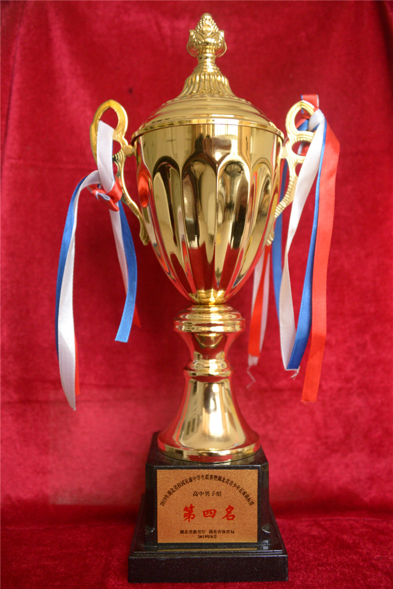 荆楚校园足球,2019江汉校园足球