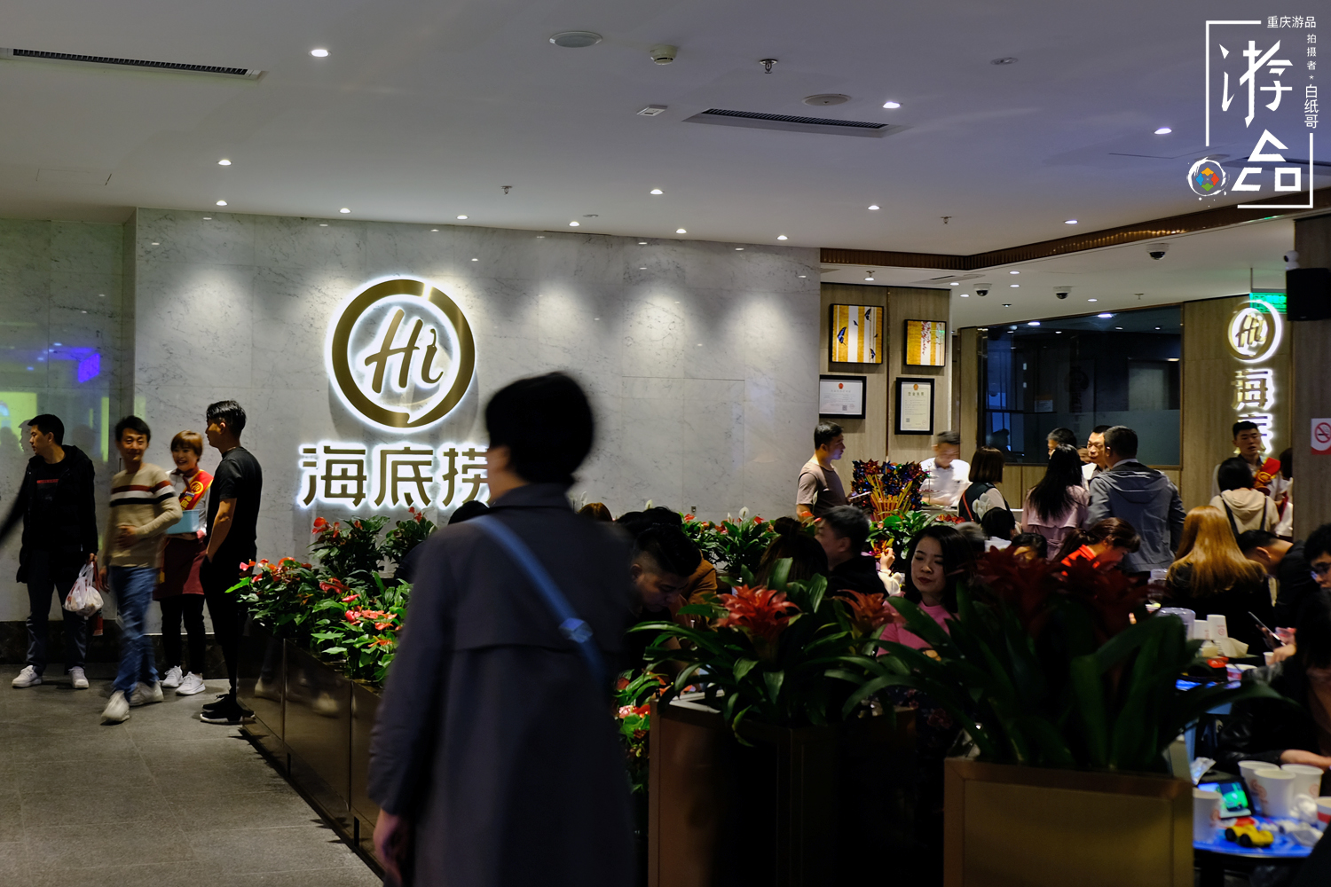 为什么重庆火锅才是正宗的,为什么重庆很少有海底捞