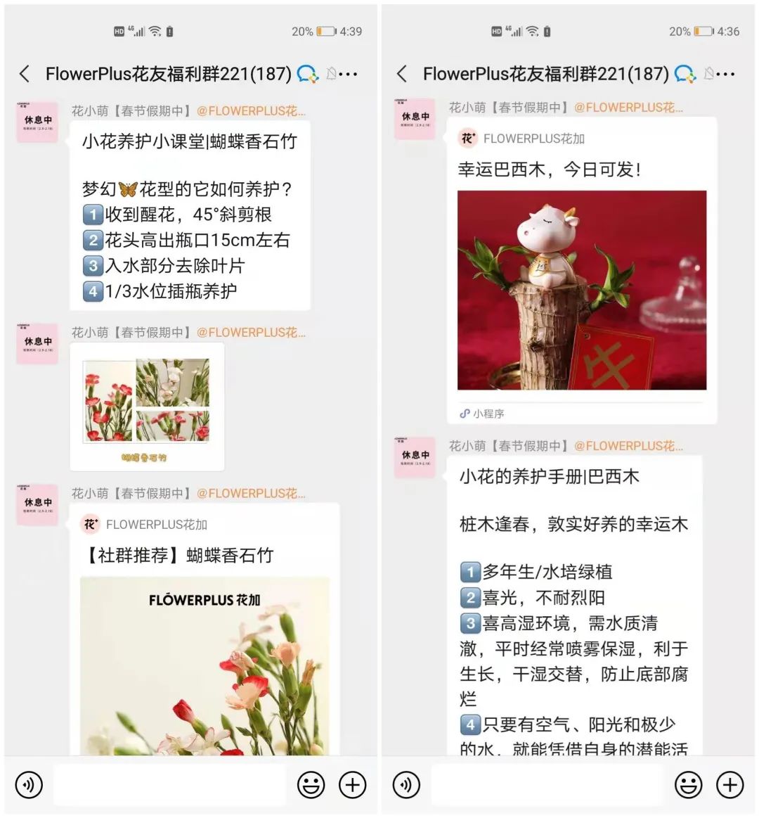 纯线上鲜花店成本,线上销售鲜花