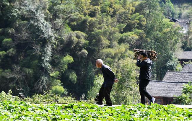 贵州省扶贫干部工作状态,贵州脱贫攻坚基层书记