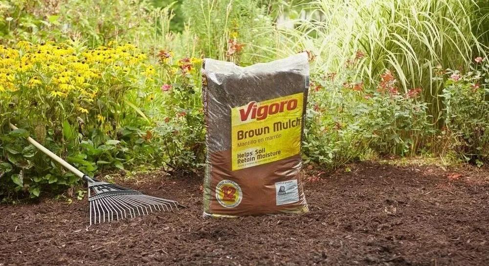 homedepot家得宝验厂注意事项,homedepot的历史