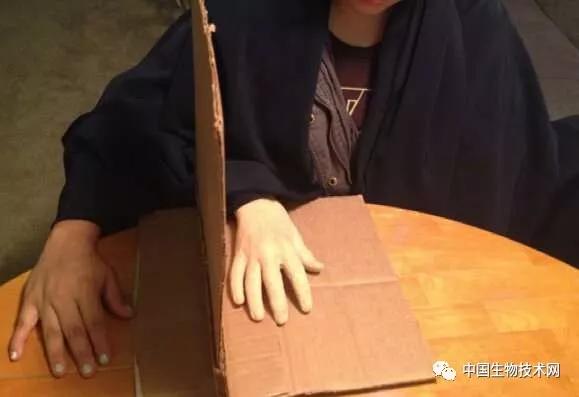 欺骗大脑假手实验完整版沉浸式,欺骗大脑的假手实验国外