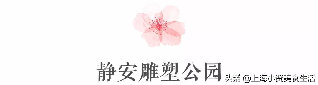 顾村公园一年一度赏樱,顾村公园赏樱点