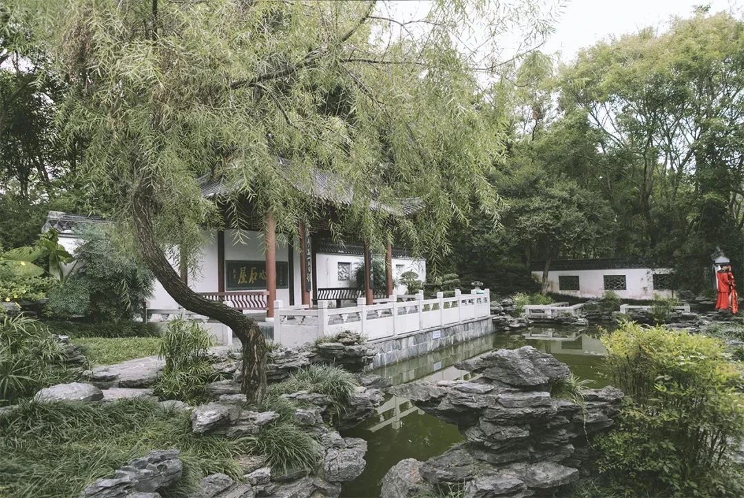 深圳周末带孩子免费游玩好去处,2021深圳免费适合遛娃玩地方排名