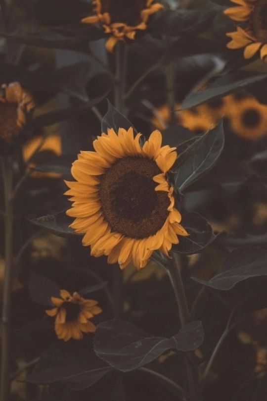 改掉所有的坏习惯,改掉哪几个坏习惯可以不长痘